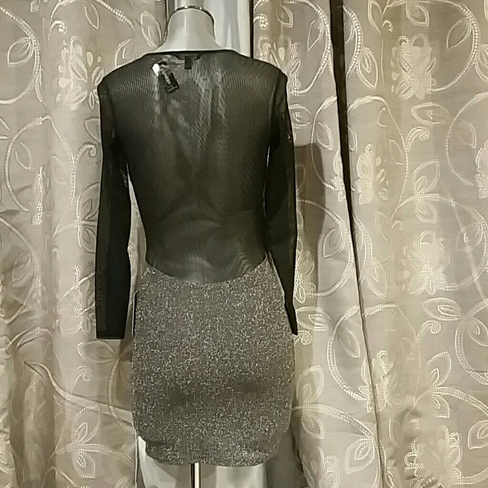 Express Dress - Picture 4 of 8
